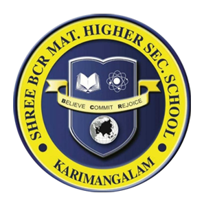 SHREE BCR MAT.HIGHER SEC.SCHOOL شعار